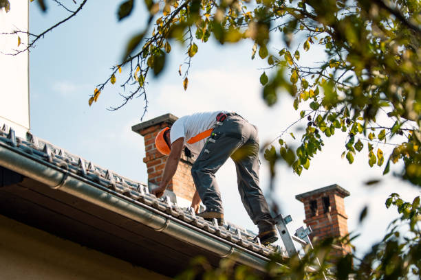 Emergency Roof Repair Services in Belleair Beach, FL