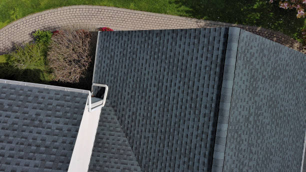 Professional Roofing Services in Belleair Beach, FL